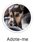 Adote-me