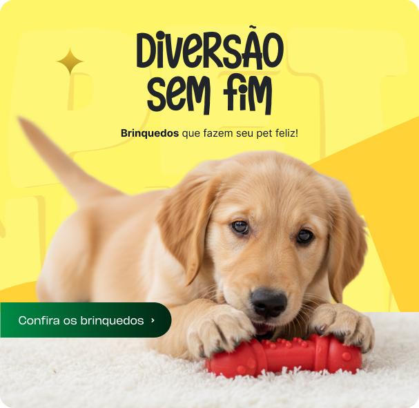 Diversão Sem Fim