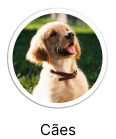Cães