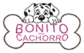 BONITO PRA CACHORRO
