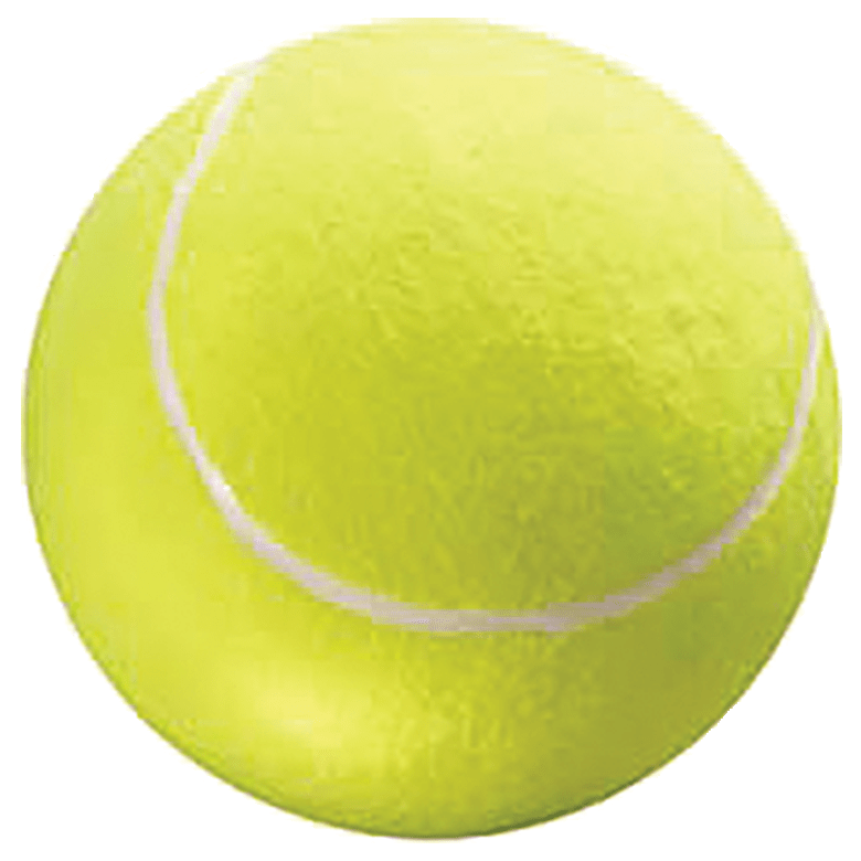 BRINQUEDO BOLA DE TENIS GG LCM - Petnautas