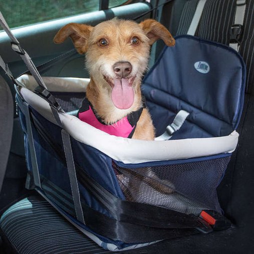 ASSENTO BIG TRANSPET CINZA/AZUL
