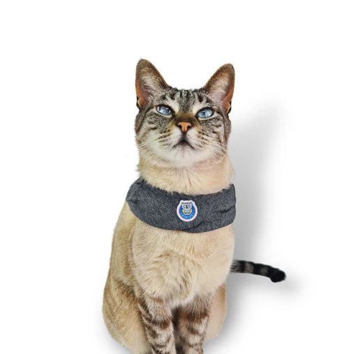 BANDANA CAPA CATMYPET MESCLA ESCURA