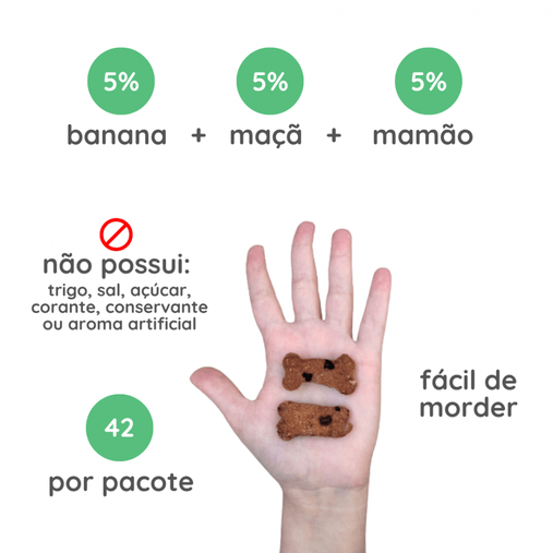 Biscoito Instinto Natural para Cães Sabor Vitamina de Frutas 150g
