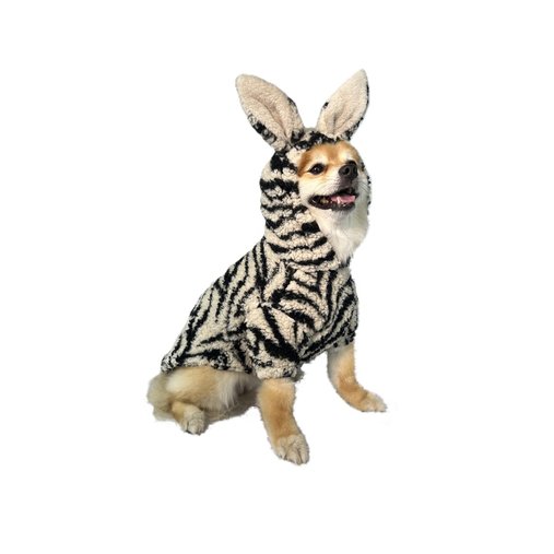 CASACO ZEBRA N6 MIOKAO