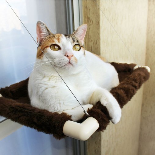 CATBED M PELUCIA CHOCOLATE GATTON