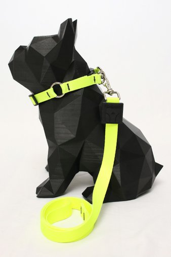 COLEIRA AMARELO NEON G GUAU GUAY