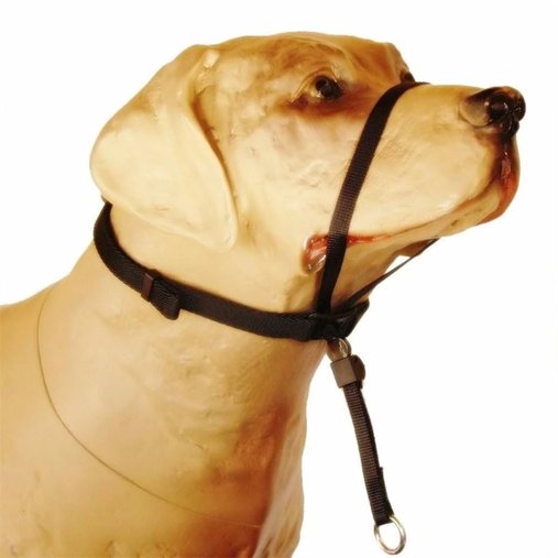 COLEIRA CABRESTO P K9 SPIRIT