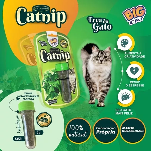 ERVA DO GATO CATNIP 3GR BBB PET