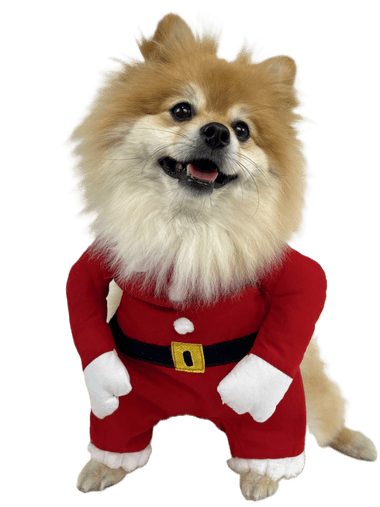FANTASIA PAPAI NOEL GG MIOKAO