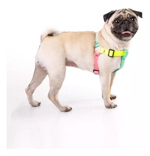 GUIA PEITORAL AMERICANO MIX NEON G GUAU GUAY
