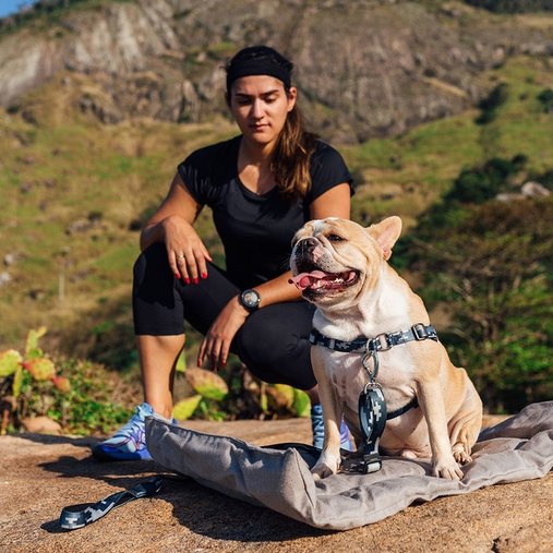 Guia Peitoral Cachorreiros Anti Puxão Camuflada Cinza para Cães P