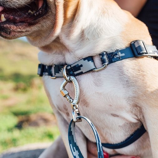 Guia Peitoral Cachorreiros Anti Puxão Camuflada Cinza para Cães P