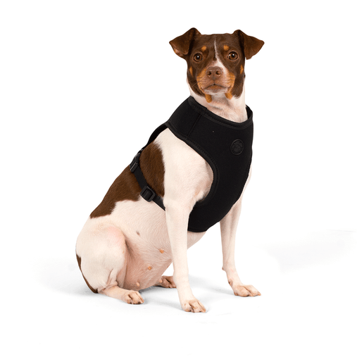 Guia Peitoral Cachorreiros Flow Preta para Cães PP