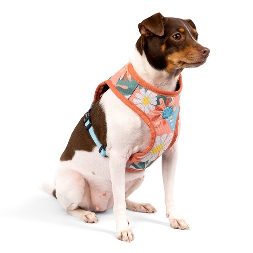 Guia Peitoral Cachorreiros Flow Floral para Cães PP