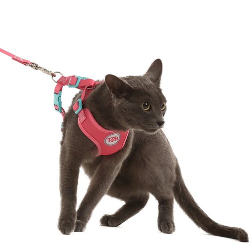 GUIA PEITORAL H NEO GATO FIJI TOH