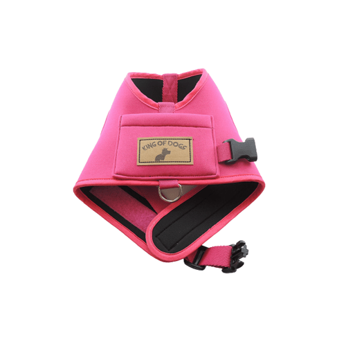 GUIA PEITORAL HUG BARBIE ROSA P KING OF DOGS
