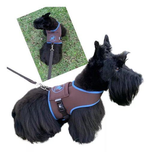 GUIA PEITORAL N1 MARROM/AZUL PET FINESS
