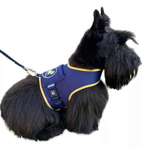 GUIA PEITORAL N2 MARINHO/AMARELO PET FINESS