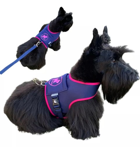 GUIA PEITORAL N4 MARINHO/PINK PET FINESS