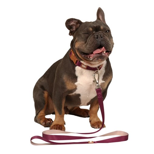 GUIA POP P 1,2M BORDO-CAQUI TOH