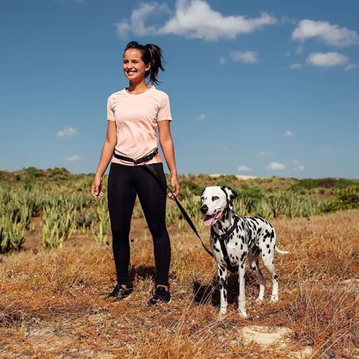 Guia Running Cachorreiros Black para Cães G