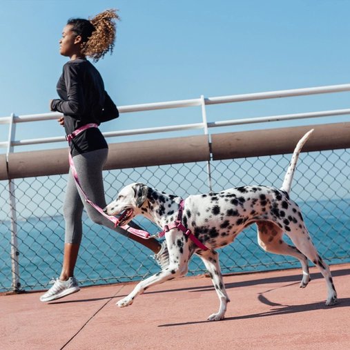 Guia Running Cachorreiros Camuflada Rosa para Cães G