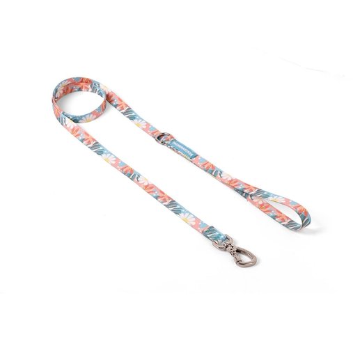 Guia Tradicional Cachorreiros Floral para Cães P