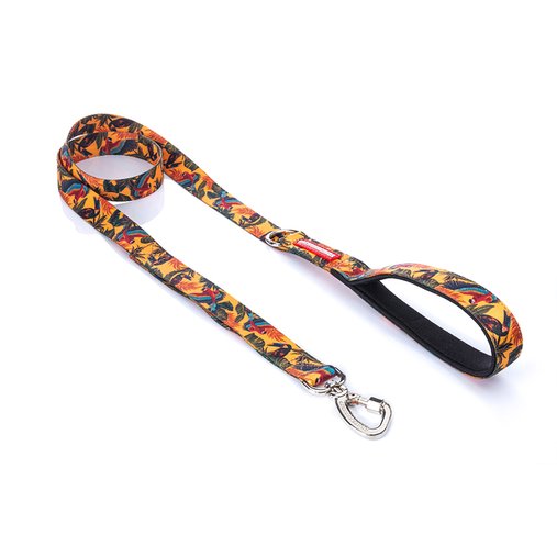 Guia Tradicional Cachorreiros Guyra para Cães G