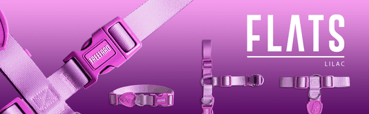 Guia Tradicional Freefaro Lilac Lilás para Cães P