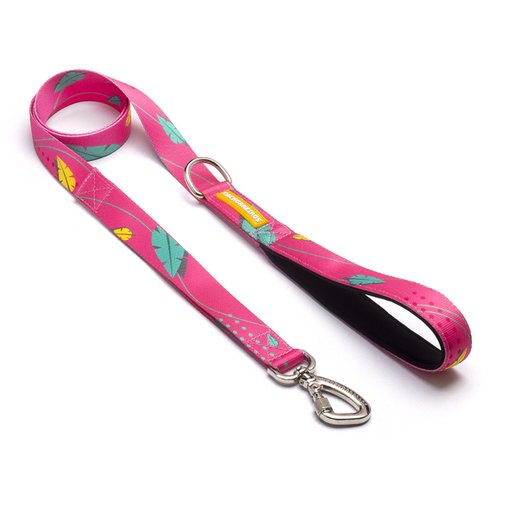 Guia Tradicional Cachorreiros Olivia para Cães G