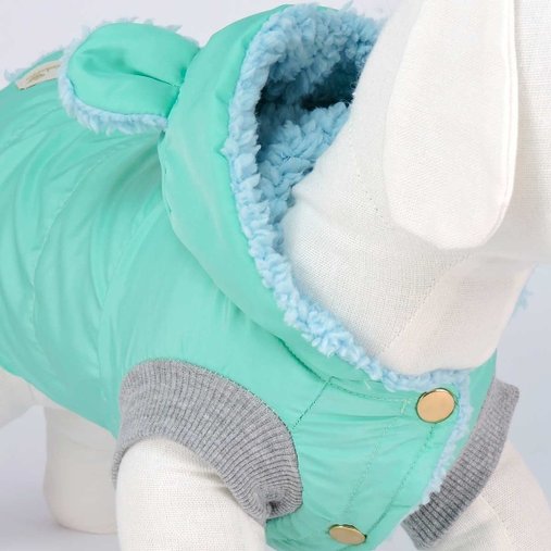 JAQUETA ASPEN PELUCIA VERDE M BONITO PRA CACHORRO