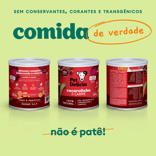 Patê Pet Delícia Natural para Cães Adultos Sabor Caçarolinha de Carne 320g
