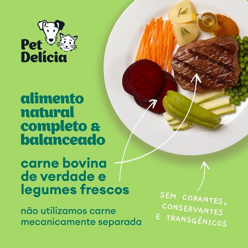 Patê Pet Delícia Natural para Cães Adultos Sabor Caçarolinha de Carne 320g