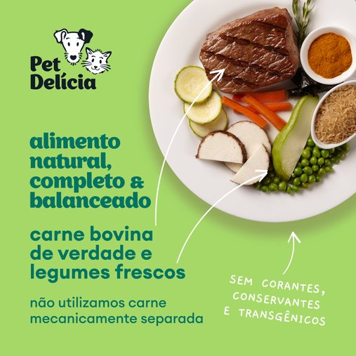 Patê Pet Delícia Natural para Cães Adultos Sabor Panelinha de Carne 320g