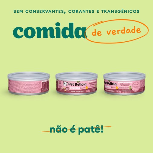 Patê Pet Delícia Papinha de Frango para Gatos Filhotes 110g