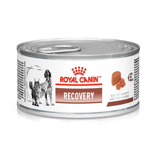 Patê Royal Canin Recovery Wet Cães e Gatos 195g