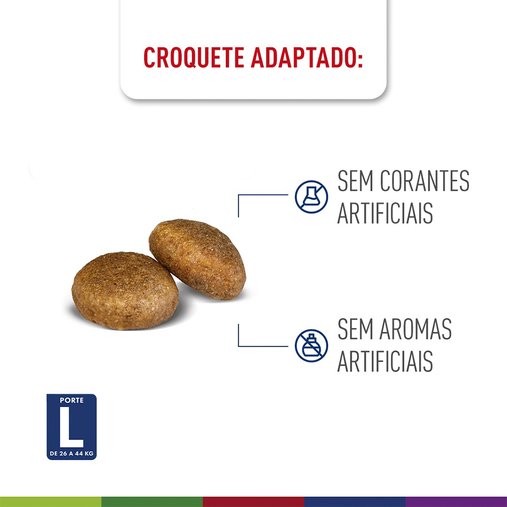 Ração Royal Canin Maxi Adult para Cães Adultos Raças Grandes 12Kg
