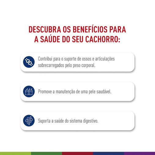 Ração Royal Canin Maxi Adult para Cães Adultos Raças Grandes 12Kg