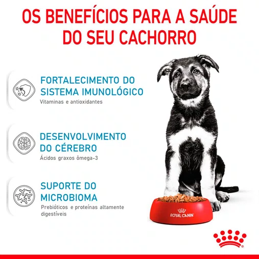 Ração Royal Canin Maxi Puppy para Cães Filhotes Raças Grandes 12Kg