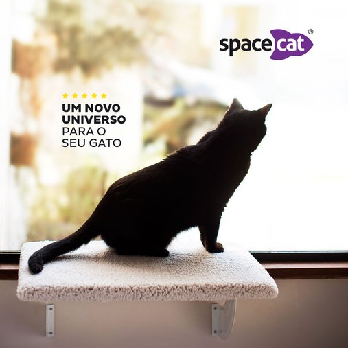 SPACECAT ORION GATTON