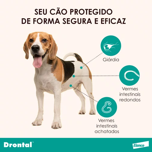Vermífugo Drontal Plus Carne 35Kg caixa com 2un