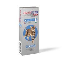 Antipulgas MSD Bravecto Plus para Gatos de 2,8 a 6,25kg