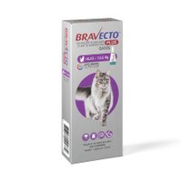 Antipulgas MSD Bravecto Plus para Gatos de 6,25 a 12,5kg