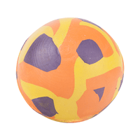 BRINQUEDO BOLA MACICA MINI DOG LCM