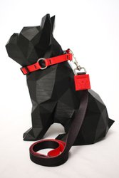 COLEIRA BULLS M GUAU GUAY