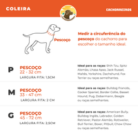 COLEIRA AMERICA N2 BICHO COM LUXO - Petnautas