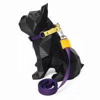 COLEIRA LAKERS M GUAU GUAY