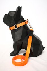 COLEIRA LARANJA NEON P GUAU GUAY