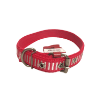 COLEIRA NYLON DUPLA 4 46CM AGROPET